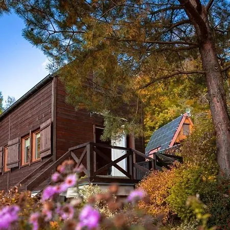 Nad Zalewem Radkowskim * Radkow